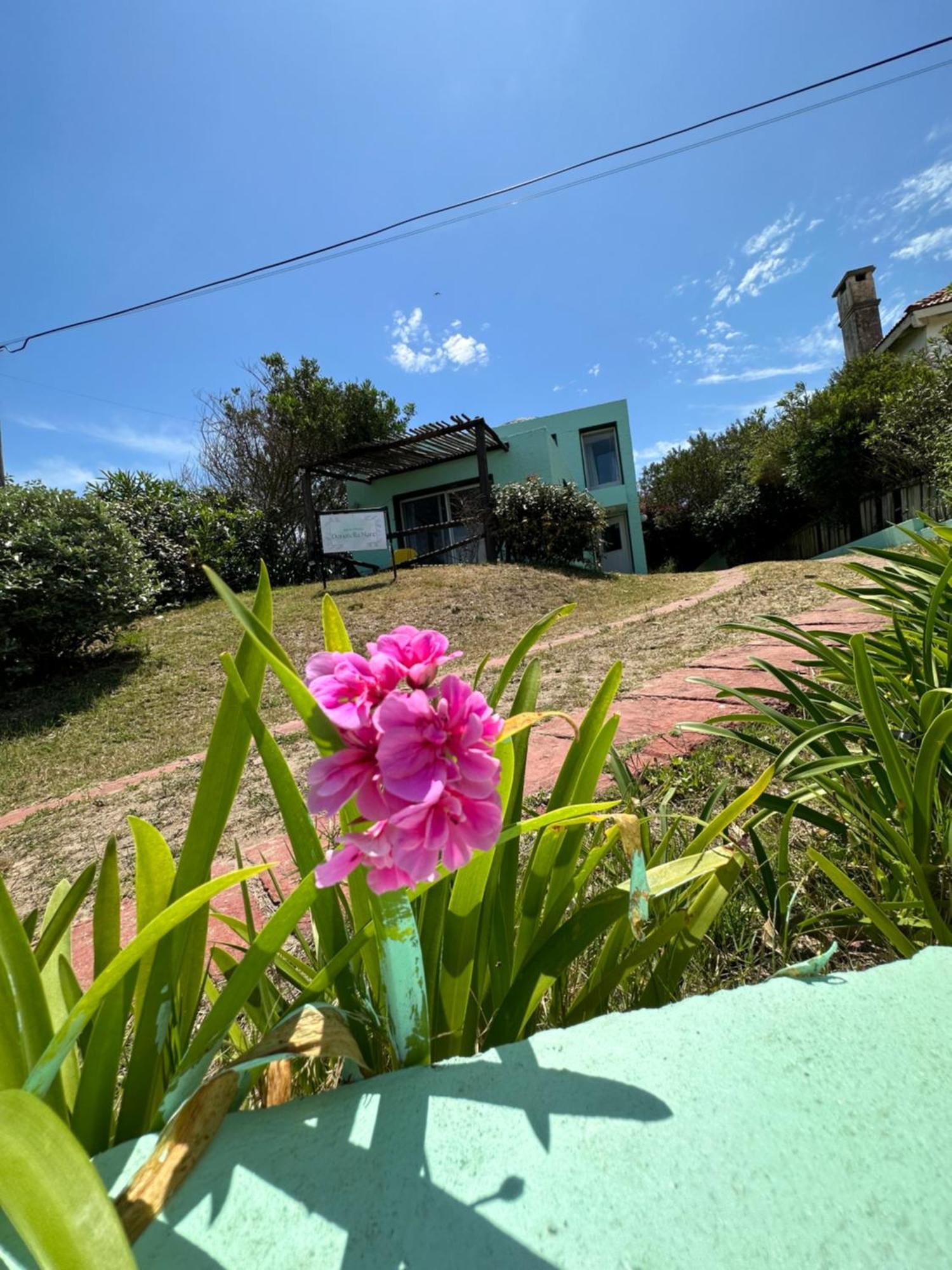 Hotel Beach La Barra Punta del Este Exteriör bild